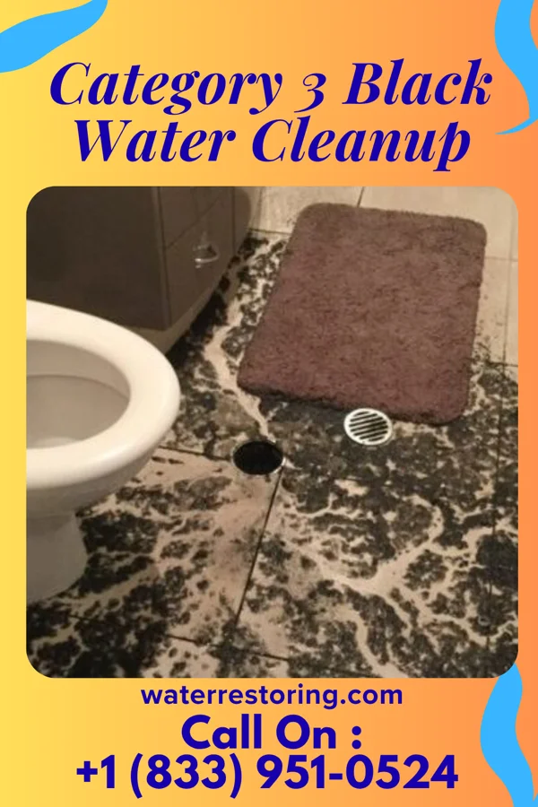 Category 3 Black Water Cleanup in Gates, TN