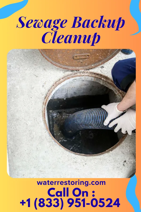 Sewage Backup Cleanup in Gates, TN