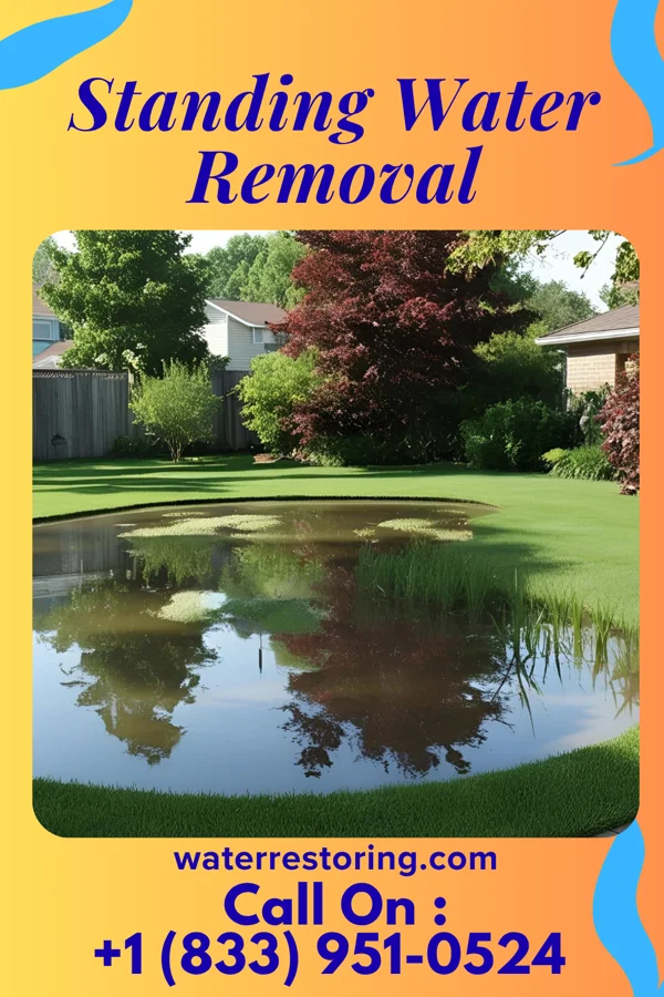 Standing Water Removal in Gates, TN
